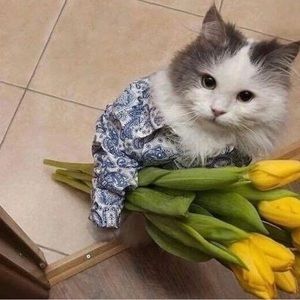 Meet your Posher, Andy